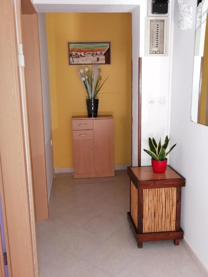 Apartman Bruna Novigrad  Exterior photo